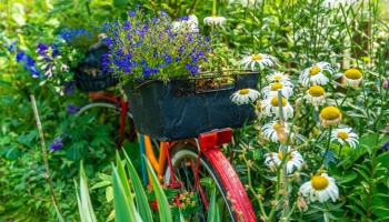 5 innovative ways to use reclaimed materials in your garden