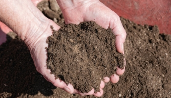 Why is good quality topsoil so important?