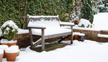 How to prepare your garden for the winter